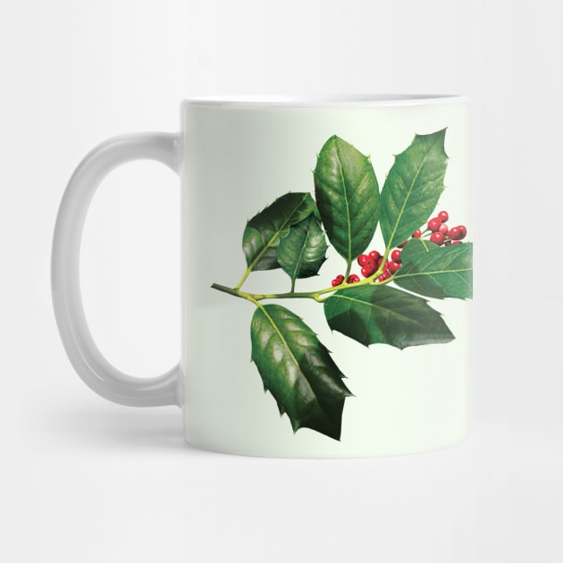 Sprig of Holly by SusanSavad